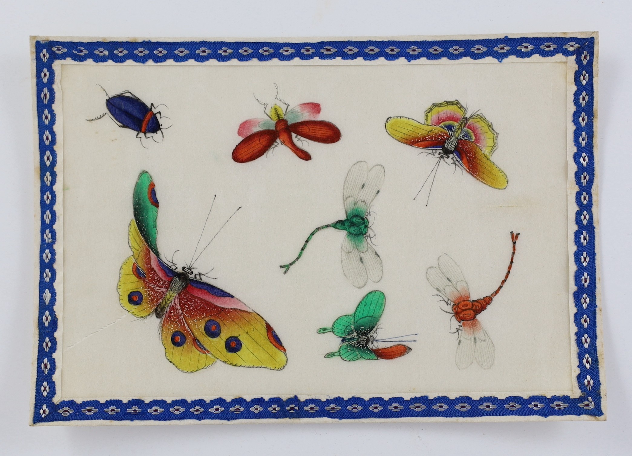 A set of twelve Chinese pith paintings of butterflies and insects, mid 19th century, total size 18cm x 12.2cm, small holes to paper